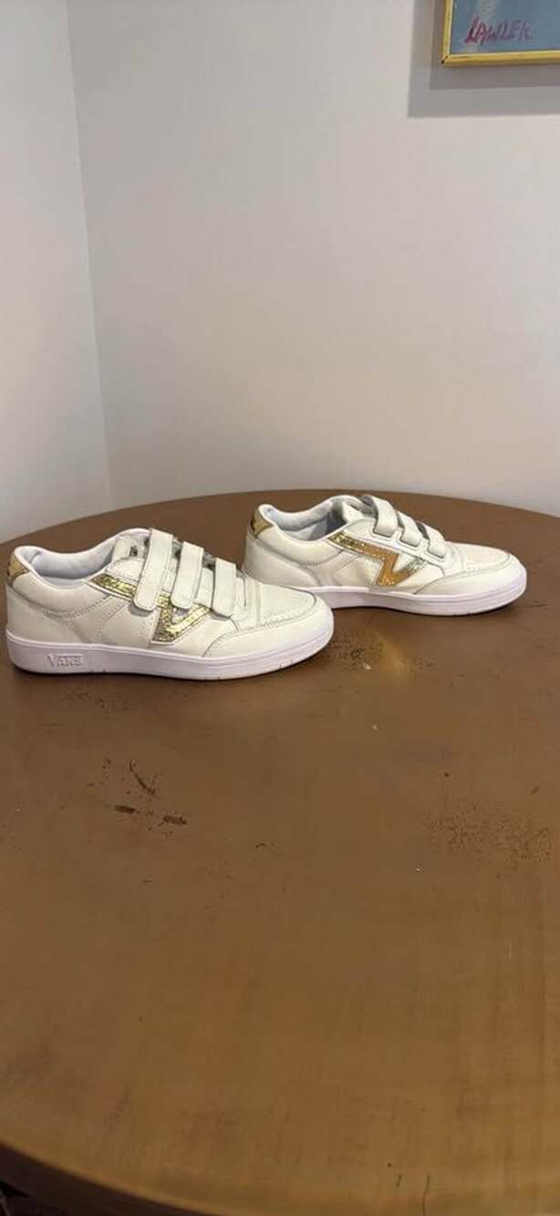 Vans Lowland CC V Shoes